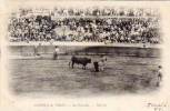 Corrida De Toros - La Estocada    (30473) - Bull