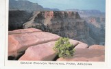 ZS12289 Grand Canyon National Park Not Used Perfect Shape - Grand Canyon