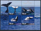 NIUE 2010, Antarctic Whales Of The Southern Ocean,  Minisheet** - Niue