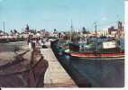 Marsala - Il Porto - Formato Grande -  Viaggiata 1963 - Marsala