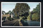 RB 793 - Early Postcard Bonchurch Pond - Isle Of Wight - Autres & Non Classés