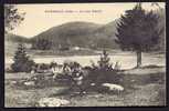 CPA  ANCIENNE- FRANCE- OYONNAX (01)- LE LAC GENIN  AVEC BELLE ANIMATION DEVANT- CHALET AU FOND - Oyonnax