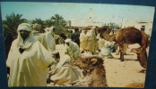 EL OUED.LE Souk Aux Chameaux.Cpsm,voyagé,be,animée,plissures - El-Oued