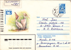 Pelicans Pelican,1981REGISTRED Postal Stationery,entier Postaux  Cover Very Rare Russia. - Pélicans