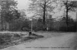 Forêt De Montmorency, Carrefour Des Quatre Chênes - Domont