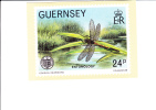 26/561  MAXI CARTE GUERNSEY - Abeilles