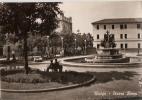 ROVIGO - PIAZZA ROMA - 1961 - Rovigo