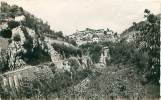 06 - LANTOSQUE - Vue Générale (Coll. Borriglione, 7711) - Lantosque