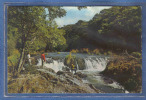 Carte Postale Pays De Galles  Cenarth  The Waterfalls  Pêche Trés Beau Plan - Autres & Non Classés