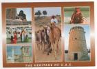 Carte Postale Multivue , écrite Le 09/02/05 , Non Timbrée - Emirats Arabes Unis