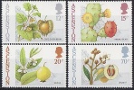 ASCENSION  // Fruits Tropicaux  // NEUFS - MNH - Ascension