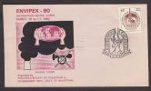 India 1990  Smoke And Sound Pollution  ENVIPEX  Cover #85726 Indien Inde - Inquinamento