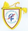 Sports Flags - Soccer, Schwitzerland, FC Concordia - Lausanne - Kleding, Souvenirs & Andere