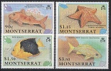 MONTSERRAT  // 1991 Poissons Tropicaux // NEUFS - MNH // CV€12.50 - Montserrat