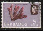 BARBADOS   Scott #  271  VF USED - Barbados (...-1966)