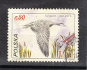 Polonia   -   2009.  Oca  In  Volo.  Flying Goose - Gänsevögel