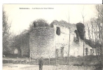 SELOMMES -   Les Ruines Du Vieux Château         TTBE - Selommes