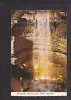 Waterfall, Marvel Cave Park, Missouri - Otros & Sin Clasificación