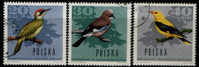 BIRDS / POLAND / 3 VFU STAMPS   . - Piciformes (pájaros Carpinteros)