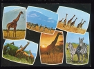 CPM Faune Animaux  GIRAFES & ZEBRES Multi-vues - Giraffes