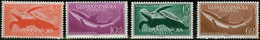 SPANISH GUINEA..1954..Michel # 303-306...MNH. - Guinea Española