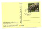 Latvia Lettland - Germany Postcard - OWL - EULE 2011  - USED - Eulenvögel