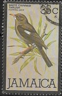 JAMAICA 1979 Bird - 35c. White-chinned Thrush FU - Jamaica (1962-...)