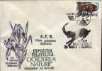Romania-Occasional Envelope Nature Protection 1989-Bison Bonasus(Wisent) - Gibier
