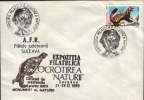 Romania-Occasional Envelope Nature Protection 1989-Vormela Peregusna(Marbled Polecat) - Gibier