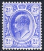 Transvaal 1905-1909. 2½d Bright Blue (wmk.MCA). SACC 282*. - Transvaal (1870-1909)
