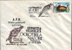 Romania-Occasional Envelope Nature Protection 1989-Oxyura Leucocephala(White-headed Duck) - Canards