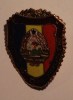 Roumanie Romania Rumänien Badges Comuniste - Altri & Non Classificati