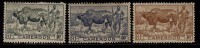 Cameroun MH 1946, 3v Cows, Tropical Cond., Filler - Mucche