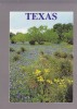 Blue Bonnets And Cactus,   Texas - Andere & Zonder Classificatie