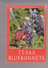 Bluebonnets,   Texas - Autres & Non Classés