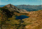 20 CORSE   LE LAC DE NINO  DANS LES MONTAGNES DU   CAMPOTILE - Corse