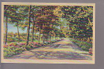 Road View - Pub. By Ashville Post Card Co., Ashville, N.C. - Rutas Americanas