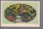 Road View - Pub. By Ashville Post Card Co., Ashville, N.C. - Rutas Americanas