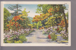 Road View - Pub. By Ashville Post Card Co., Ashville, N.C. - Rutas Americanas