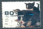 1998 Fauna Cat Chat Kat Poes - Used Stamps