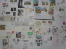 FLORA 100 Postal History Different Items SPECIAL OFFER : NO POSTAGE MAIL FREE COSTS !!!!!!!!!!!! Collection Lot - Colecciones (en álbumes)