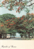 ZS7259 Conakry Avenue Bored With West Indies Trees Guinee Used Good  Shape - Guinea