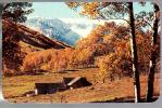 Jolie CP Etats Unis Colorado Autumn In The Rockies ... CAD Woodland Park De 1972 / Paire Tp Drapeau Flag Via Air Mail - Rocky Mountains