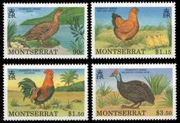 MONTSERRAT 1991 - Animaux Domestiques, Volailles // NEUFS - MNH - Montserrat