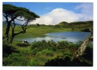 ILHA DO PICO - Lagoa Do Capitão - Açores
