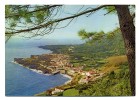 ILHA DO PICO - Santa Cruz Das Ribeiras - Açores