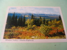 MINAKER VALLEY.....ALASKA HIGHWAY - Andere & Zonder Classificatie