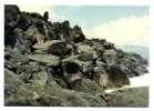 ILHA DO PICO - S. João. Lages Do Pico - Barrocas Do Mar (Junto Ao Pesqueiro Da Madeira) - Açores