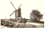 Saint Idesbald Le Vieux Moulin - Koksijde