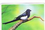 COREA DEL SUD (SOUTH KOREA)  - KOREA TELECOM (AUTELCA)  - 1991 BIRDS: MAGPIE  - USED  -  RIF. 1828 - Zangvogels